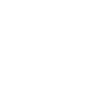 MandalaPro